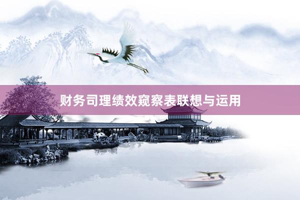财务司理绩效窥察表联想与运用